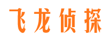 临潭侦探公司